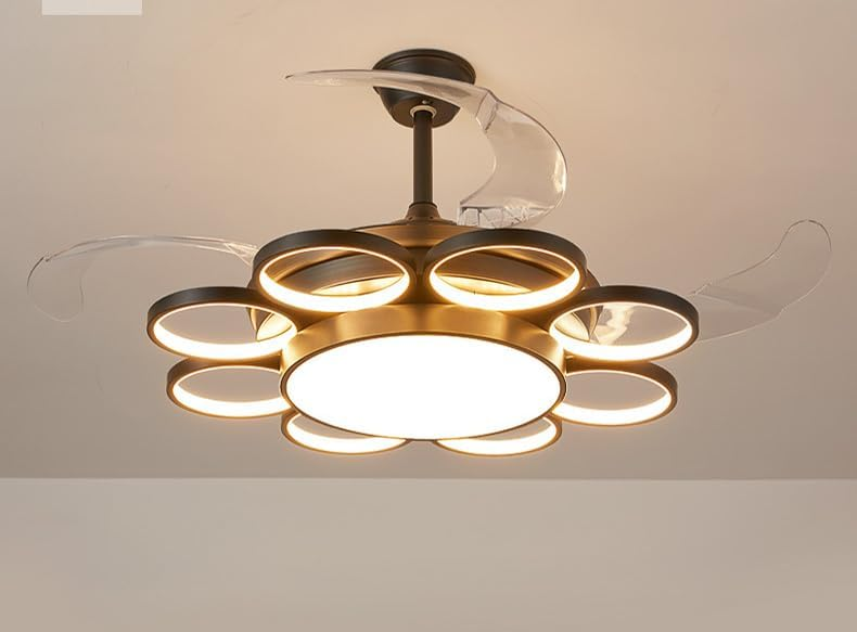 Black Rings Ceiling Fan