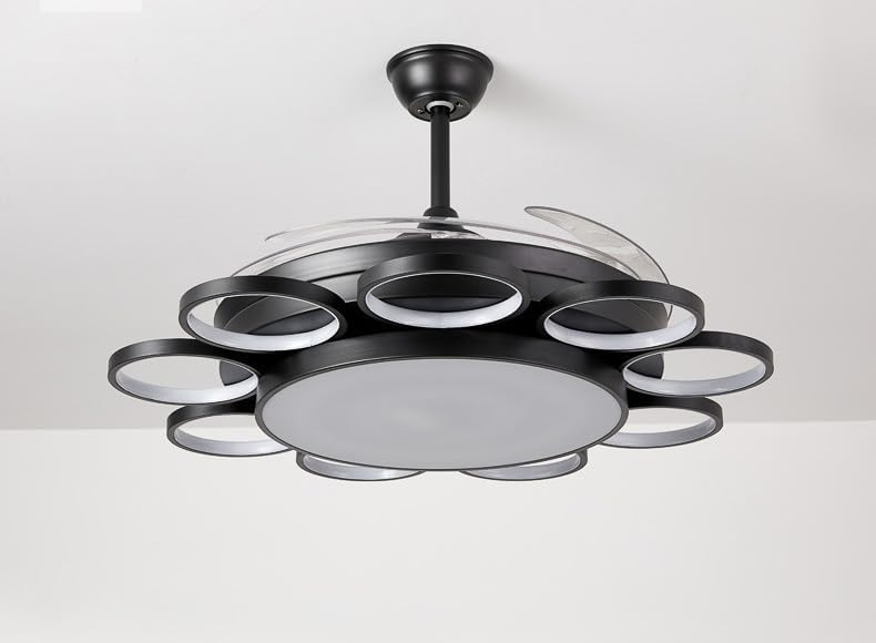 Black Rings Ceiling Fan