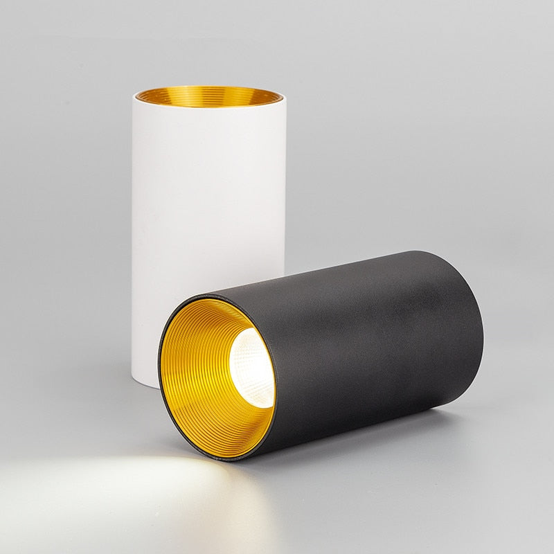 Surface Mounted Cylindrical LED COB Downlight