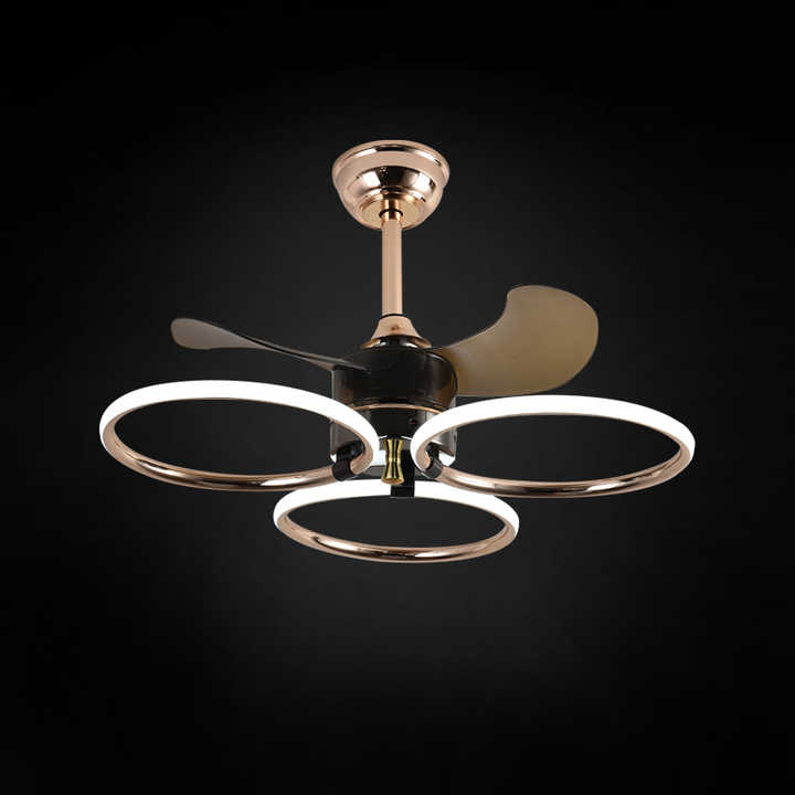 Modern Black Ring Lighting