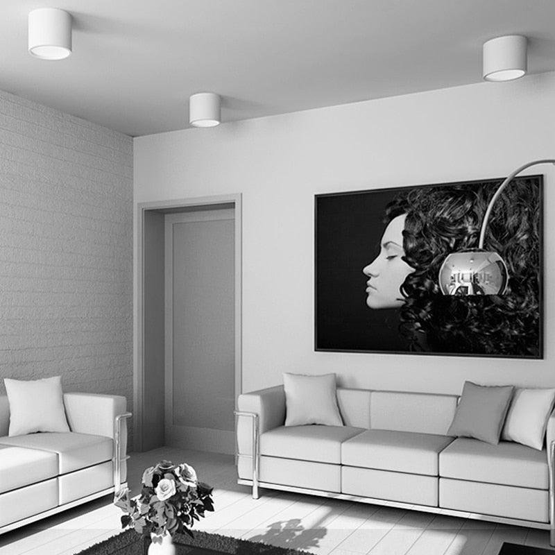 Surface Mounted Ceiling COB LED