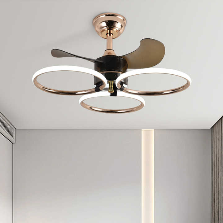 Modern Black Ring Lighting