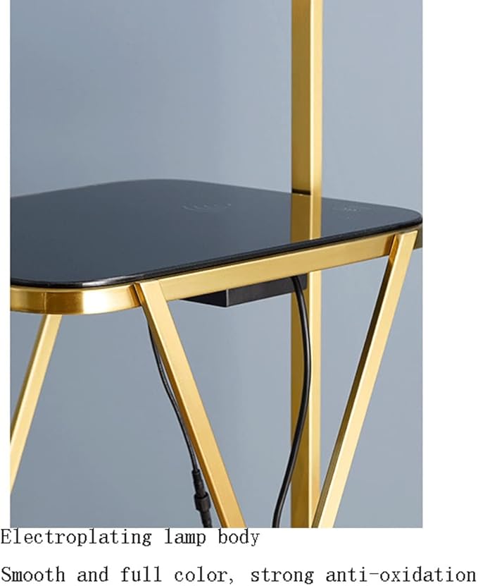 LED Modern Shelf Floor Lamp