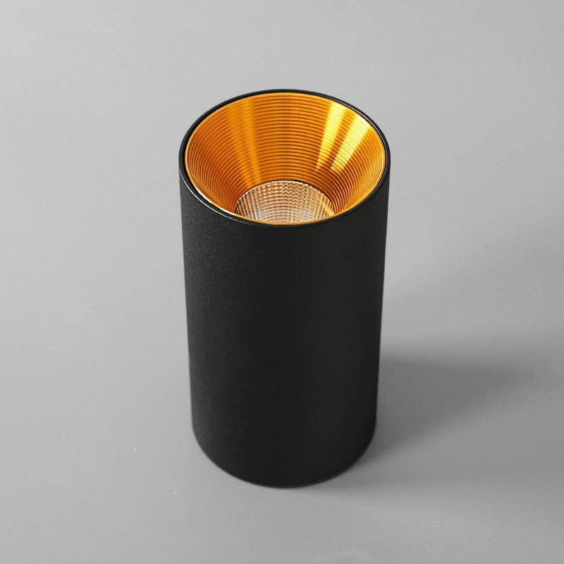 Surface Mounted Cylindrical LED COB Downlight