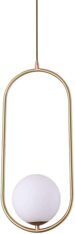 Elegant Globe Pendant Light (Single Globe)