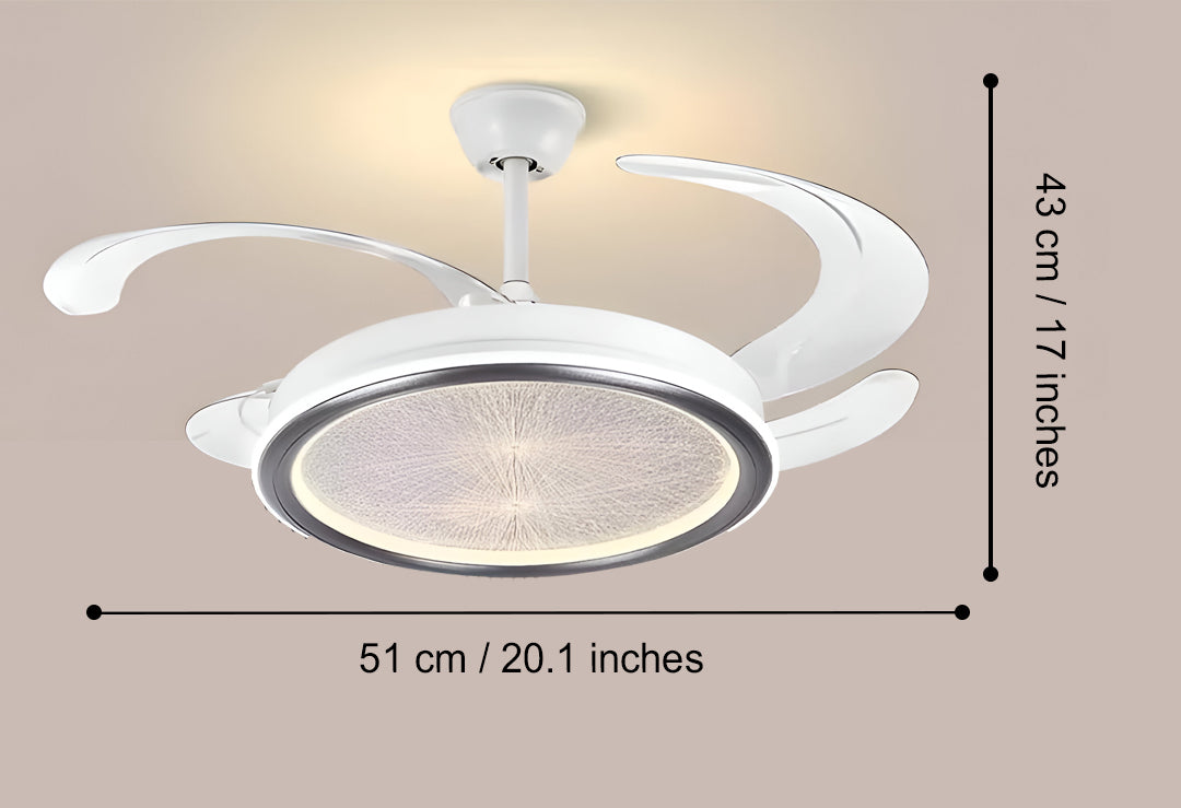 Leisure Ceiling Fan