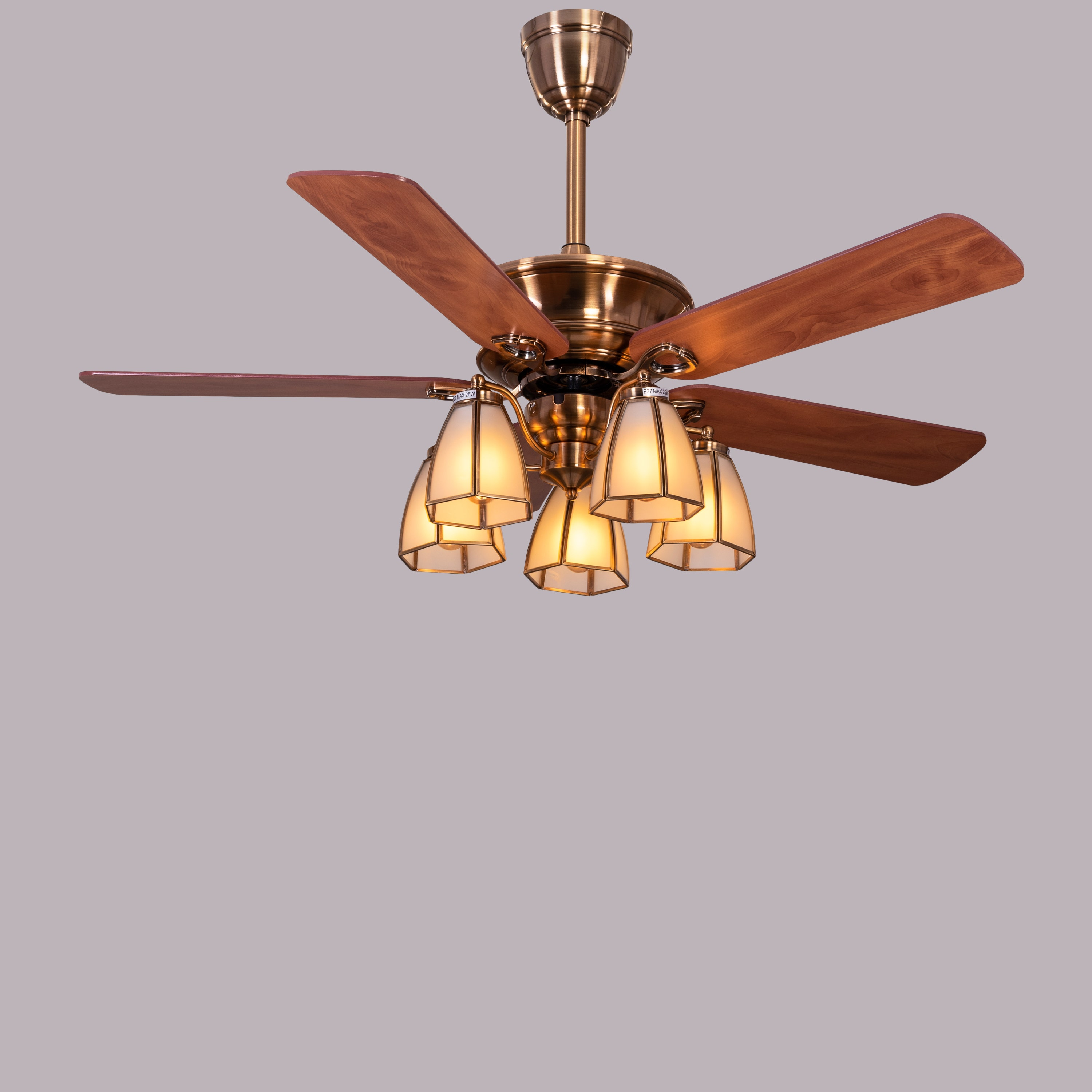 Caramel Valley (48 Inches Span, Teak Finish) Ceiling Fan