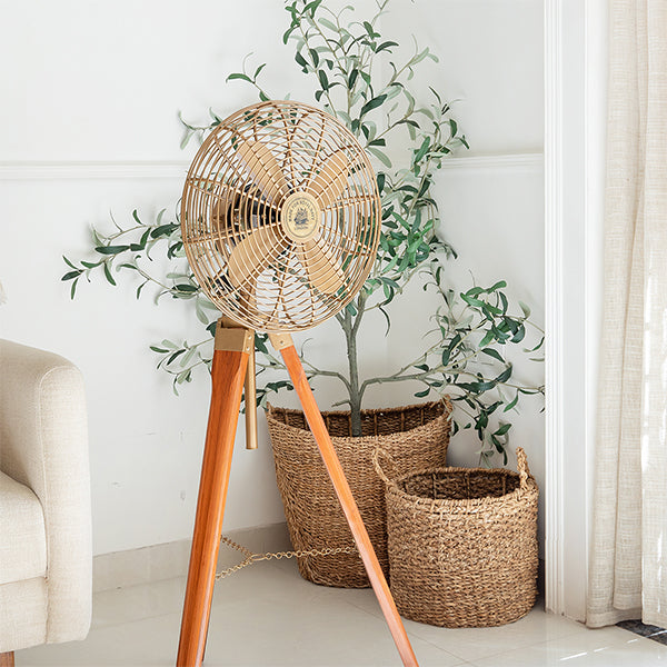 Tripod Electric Fan