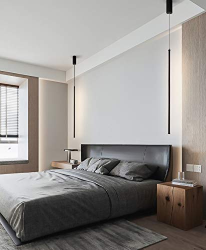 Sleek Meek Hanging Light