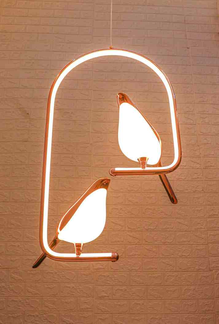 Optimistic Bird Pair Hanging Light
