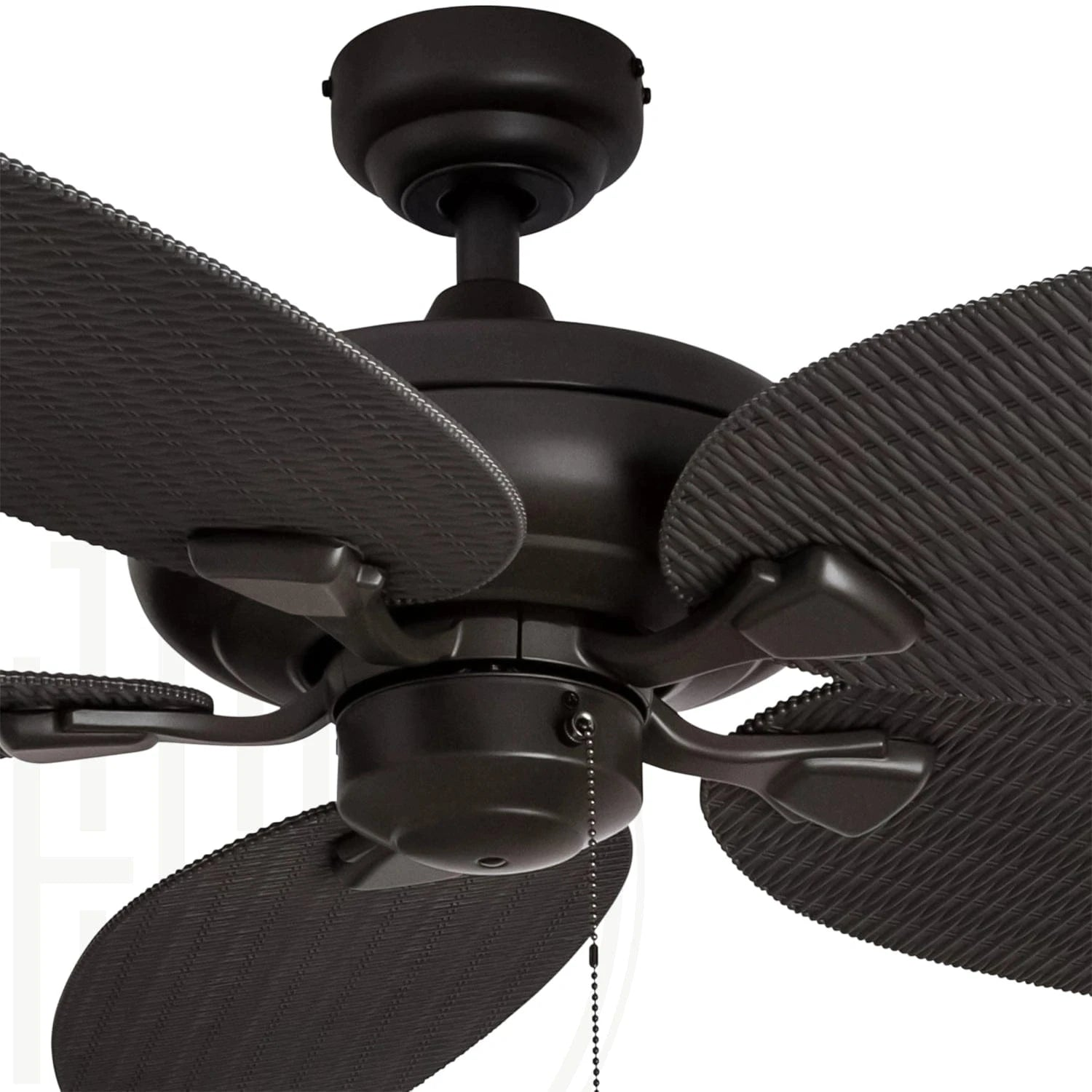 Nature's Swirl (52 Inches Span, Black) Ceiling Fan