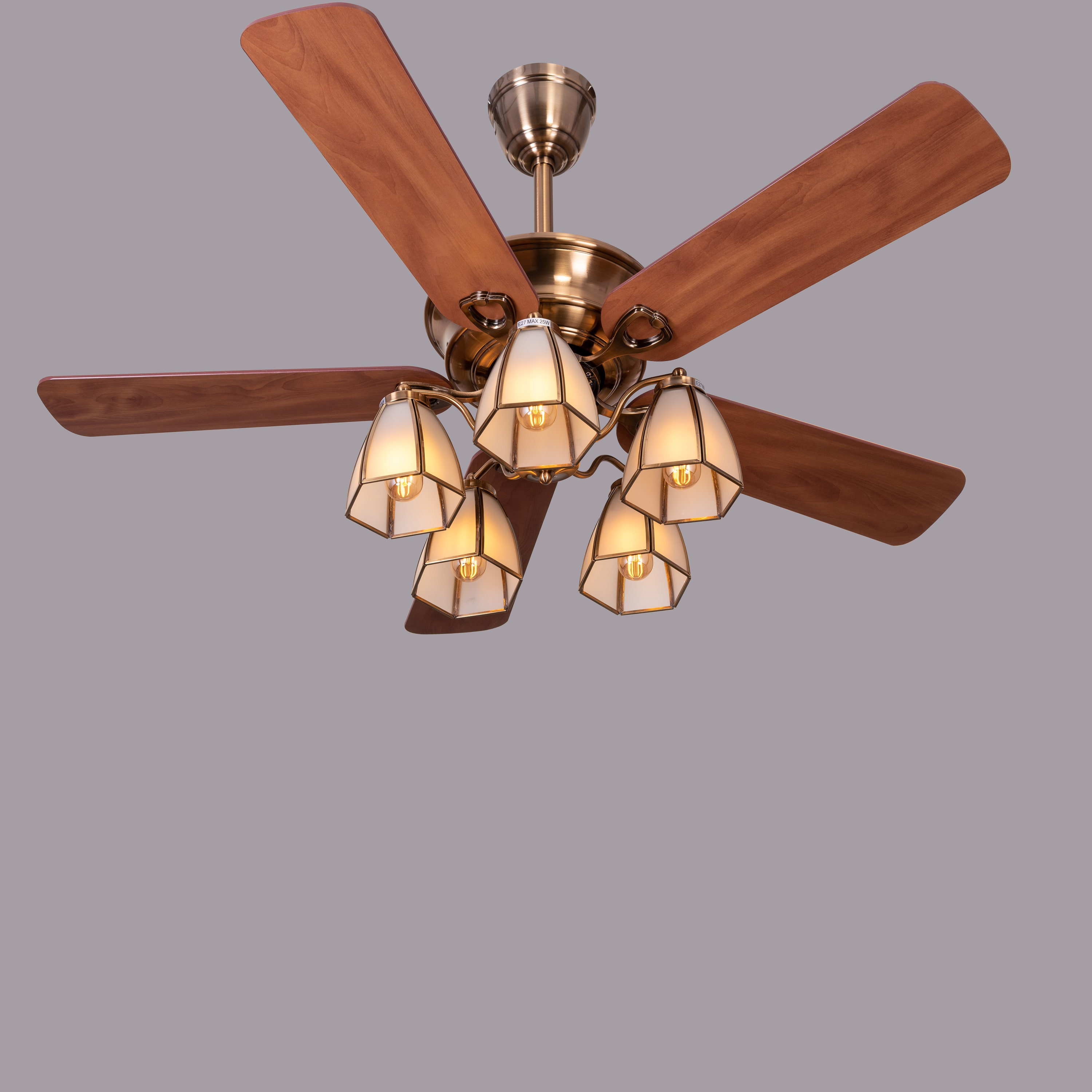 Caramel Valley (48 Inches Span, Teak Finish) Ceiling Fan