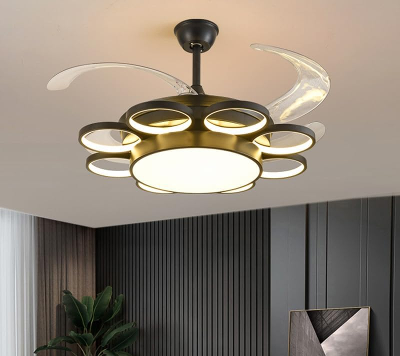 Black Rings Ceiling Fan