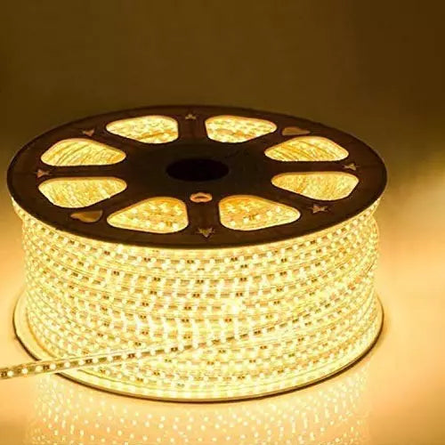 LED Rope Light (50-Meter)