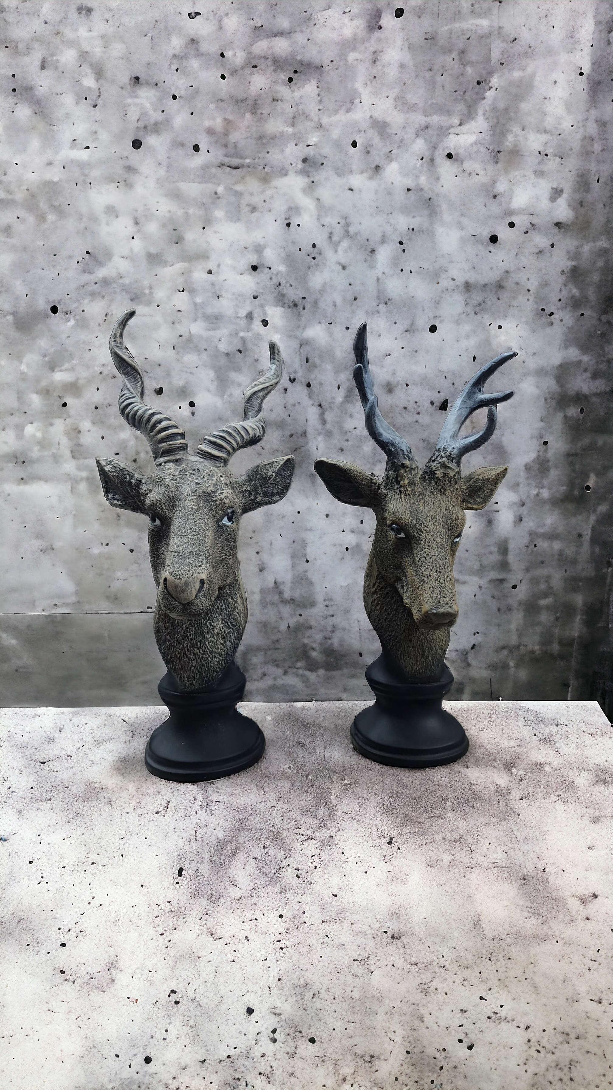 Alpha Stag Deer Pair