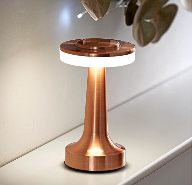 Cordless Lamp,Wireless LED Desk Lamp Touch Sensor Table Lamp Reading Lamp for Indoor Outdoor